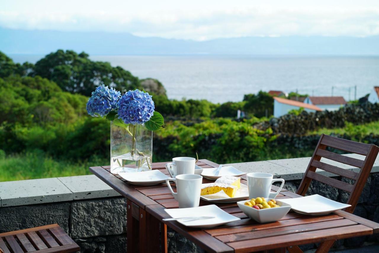 Casa Do Cedro Do Mato Villa Terra Alta ภายนอก รูปภาพ
