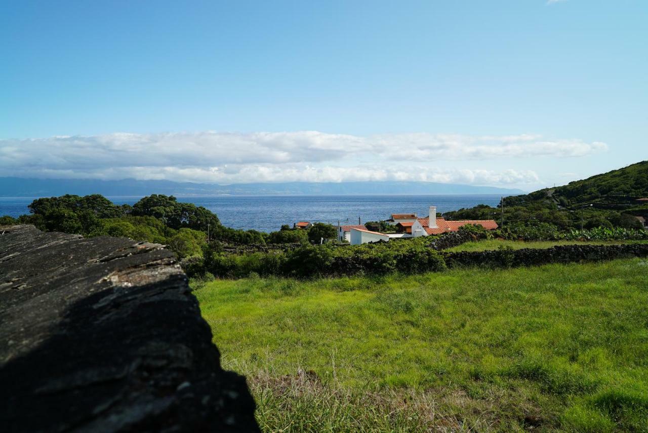 Casa Do Cedro Do Mato Villa Terra Alta ภายนอก รูปภาพ